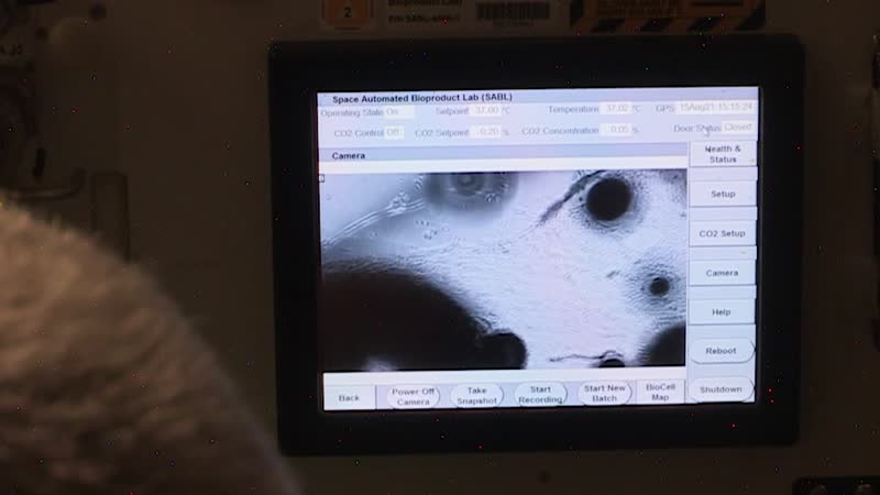 How Do We Do Research in Zero Gravity | We Asked a NASA Expert